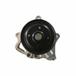 صورة طرمبة ماء