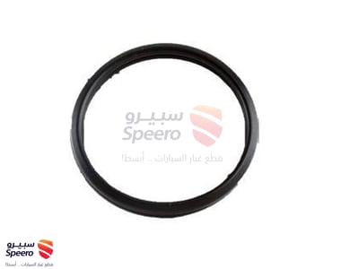 GASKET, WATER INLET - 1634135010