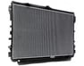 Radiator Assembly - 164000S030