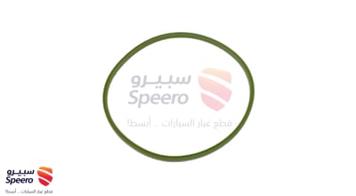 ربلة طرمبة بنزين
