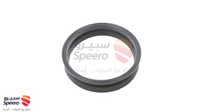 ربلة طرمبة بنزين