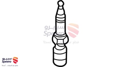 بواجي