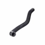 Upper Radiator Hose 19501RZAA01
