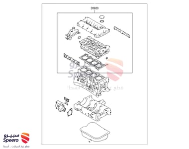 Gasket Kit-Engine Overhaul - 209102GB00