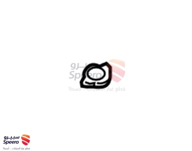 214301P107 - 214301P107