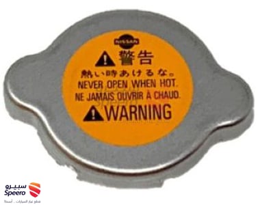 214301P107 - 214301P107