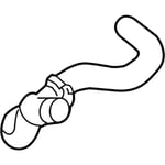 صورة دودة دركسون تحت