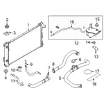 صورة خرطوش رديتر تحت