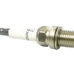 صورة طقم بواجي