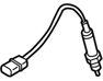 226A0EA210 - 226A0EA210