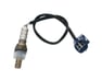 226A0EA210 - 226A0EA210