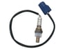 226A0EA210 - 226A0EA210