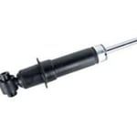 Rear Right Shock Absorber 22737724