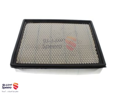 Air filter - 22845992
