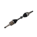 عكس امامي يسار 22873498