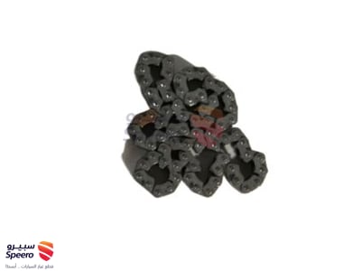 243223C100 - 243223C100