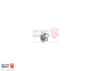 HYDR. TENSIONER ASSY - 2447025050