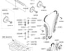 HYDR. TENSIONER ASSY - 2447025050