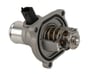 Thermostat - 25199828