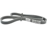 Dynamo Belt - 2521223721
