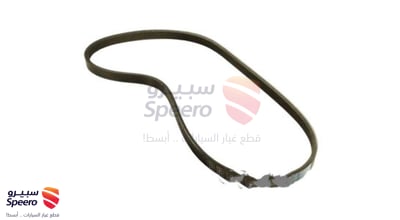 Dynamo Belt