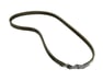 Dynamo Belt - 2521223721