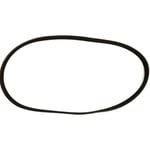 صورة V-RIBBED BELT