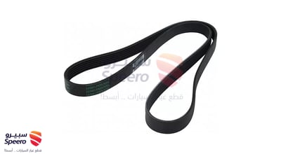 Water Pump Belt