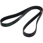 BELT V 252122GGB0