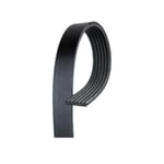 صورة V-RIBBED BELT