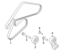 Dynamo Belt - 252123C312