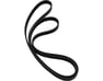 Dynamo Belt - 252123C322