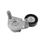 صورة TENSIONER ASSY