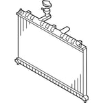 صورة Radiator Assembly