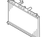 Radiator Assembly - 253101G211
