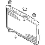 صورة Radiator Assembly