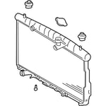 صورة Radiator Assembly