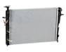 Radiator Assembly - 253102E450