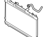 Radiator Assembly - 253102F061