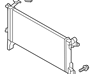 Radiator Assembly - 253102M100