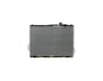 Radiator Assembly - 253103J500