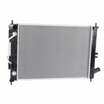 Radiator 253103X600