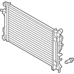 صورة Radiator Assembly