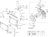 HOSE-RADIATOR,UPPER - 254111R200