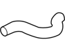 Hose-Radiator, Upper - 254112E100