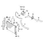 صورة Hose-Radiator Upper