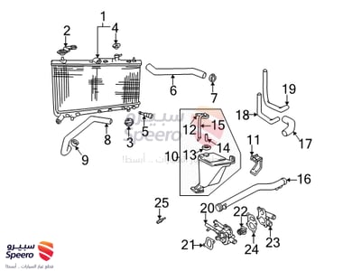 Hose-Radiator Lower - 2541225100