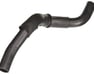 Hose-Radiator Lower - 254122B100