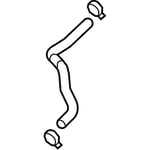 صورة Hose-Radiator Lower