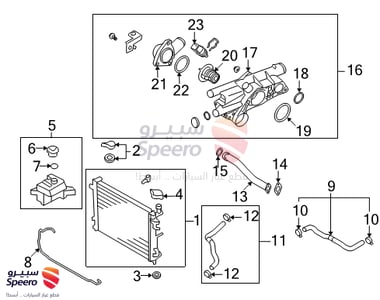 Hose-Radiator Lower - 254122G300